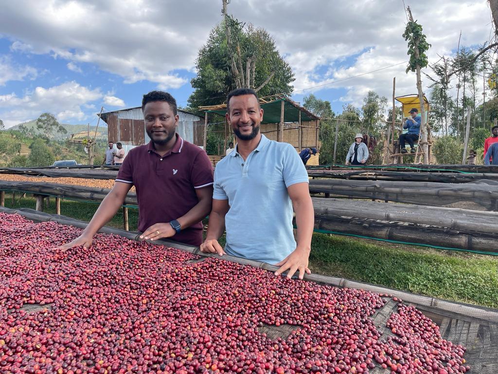 Natural Process Ethiopian Coffee