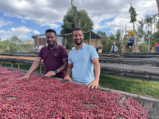 Natural Process Ethiopian Coffee
