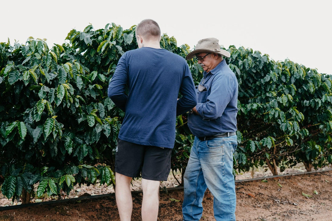 Australian Grown Coffee from Queensland and Roasted by Mikro