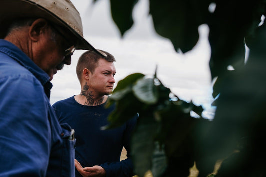 Australian Grown Coffee History