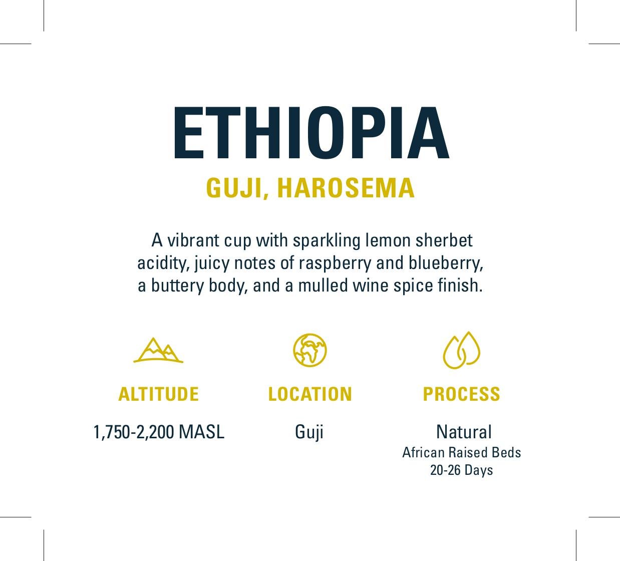 Ethiopian - Guji, Harosema | Mikro Coffee Roasters Torquay