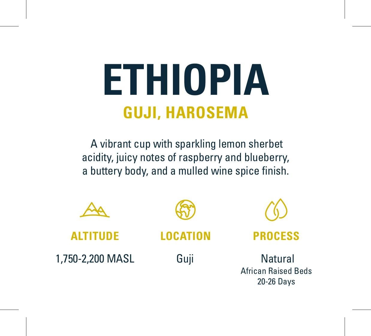 Ethiopian - Guji, Harosema | Mikro Coffee Roasters Torquay