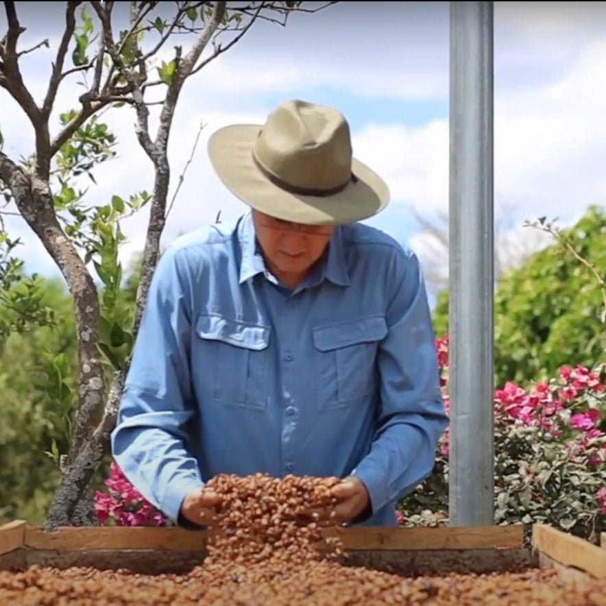 el salvador los naranjitos - 0