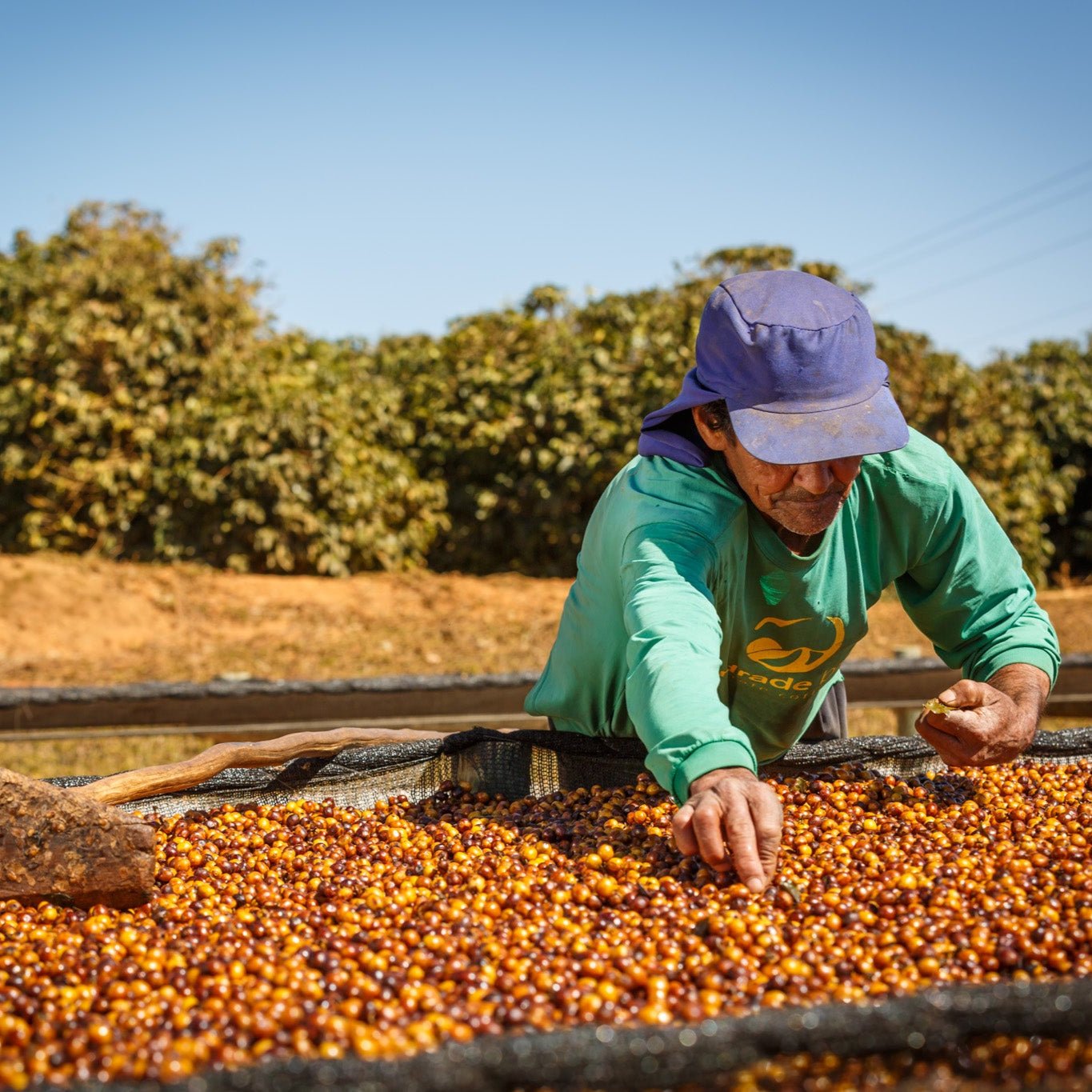 Silvestre Estate - Farmer - 2