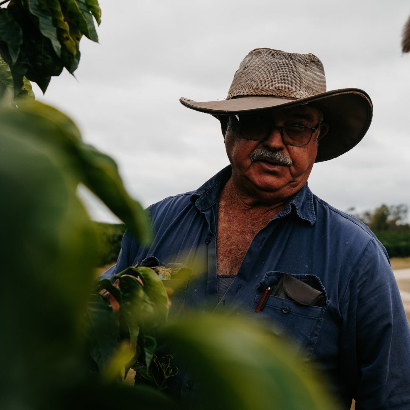 Jack Murat Coffee - 3