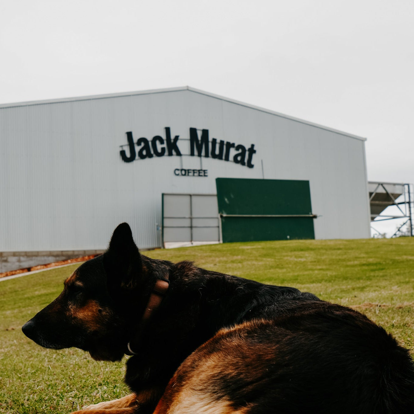 Australia - Jack Murat Estate