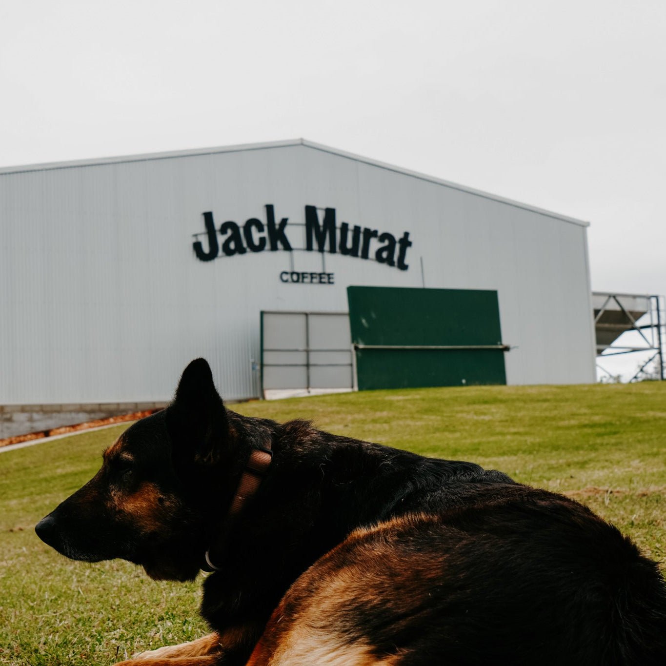 Jack Murat Coffee - 5