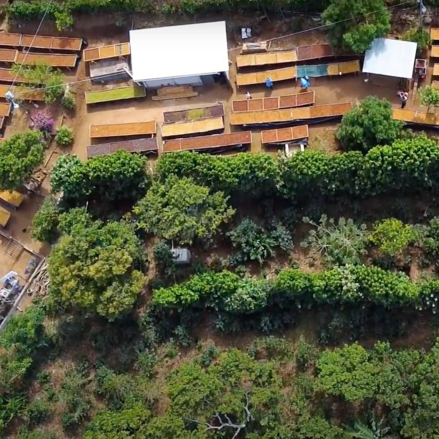 el salvador los naranjitos - 2