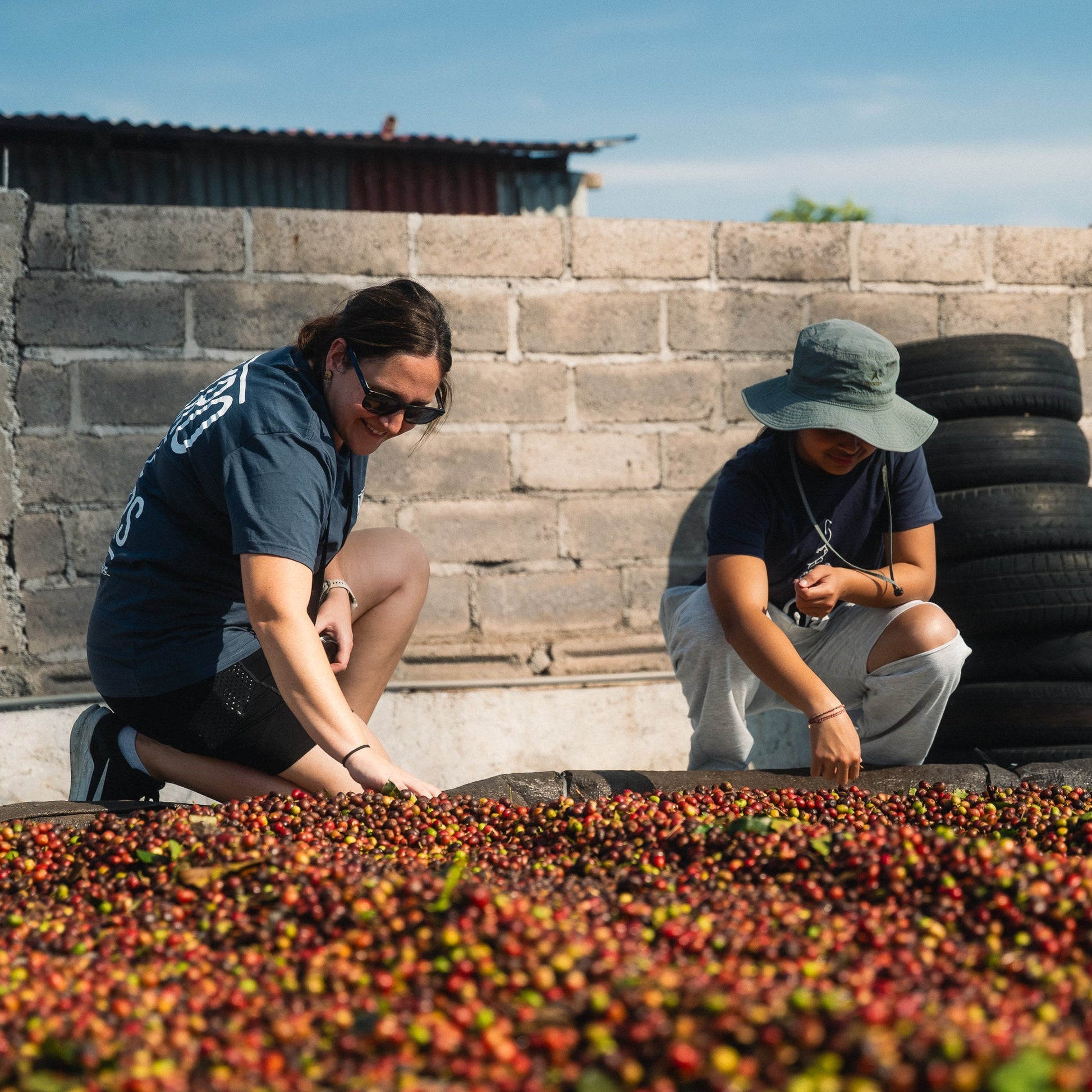 Indonesia - Bali Natural | Mikro Coffee Roasters Torquay