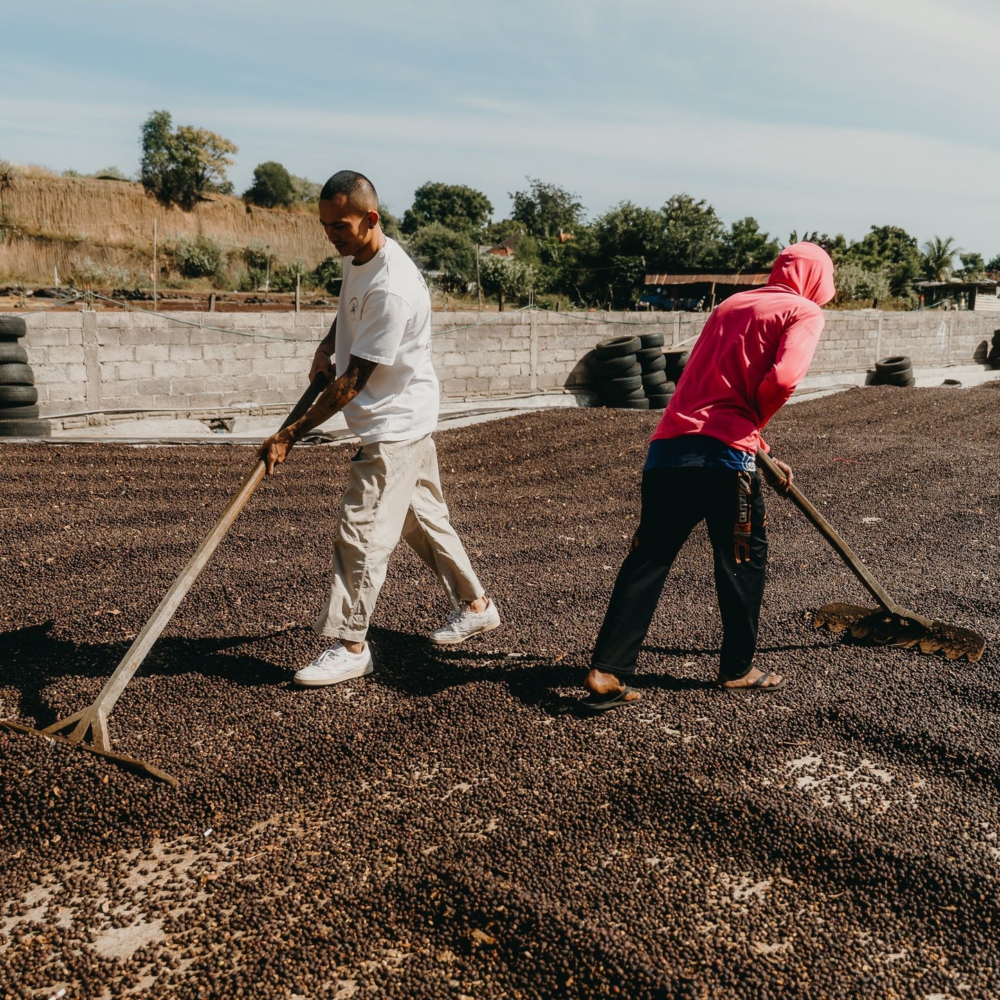 Indonesia - Bali Natural | Mikro Coffee Roasters Torquay