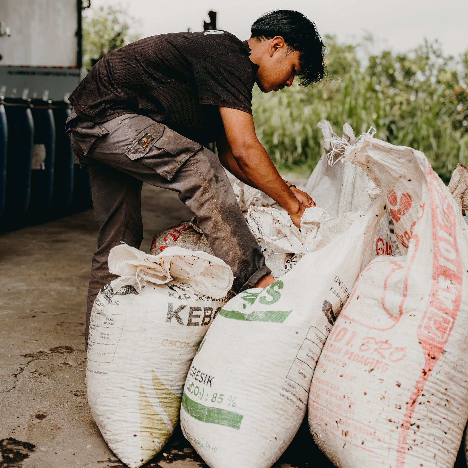 Indonesia - Bali Natural | Mikro Coffee Roasters Torquay