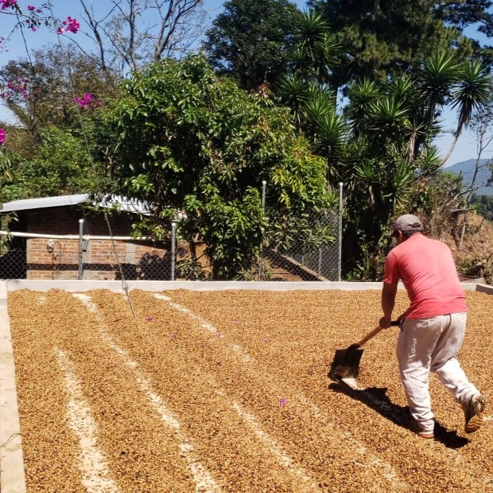 el salvador los naranjitos - 1