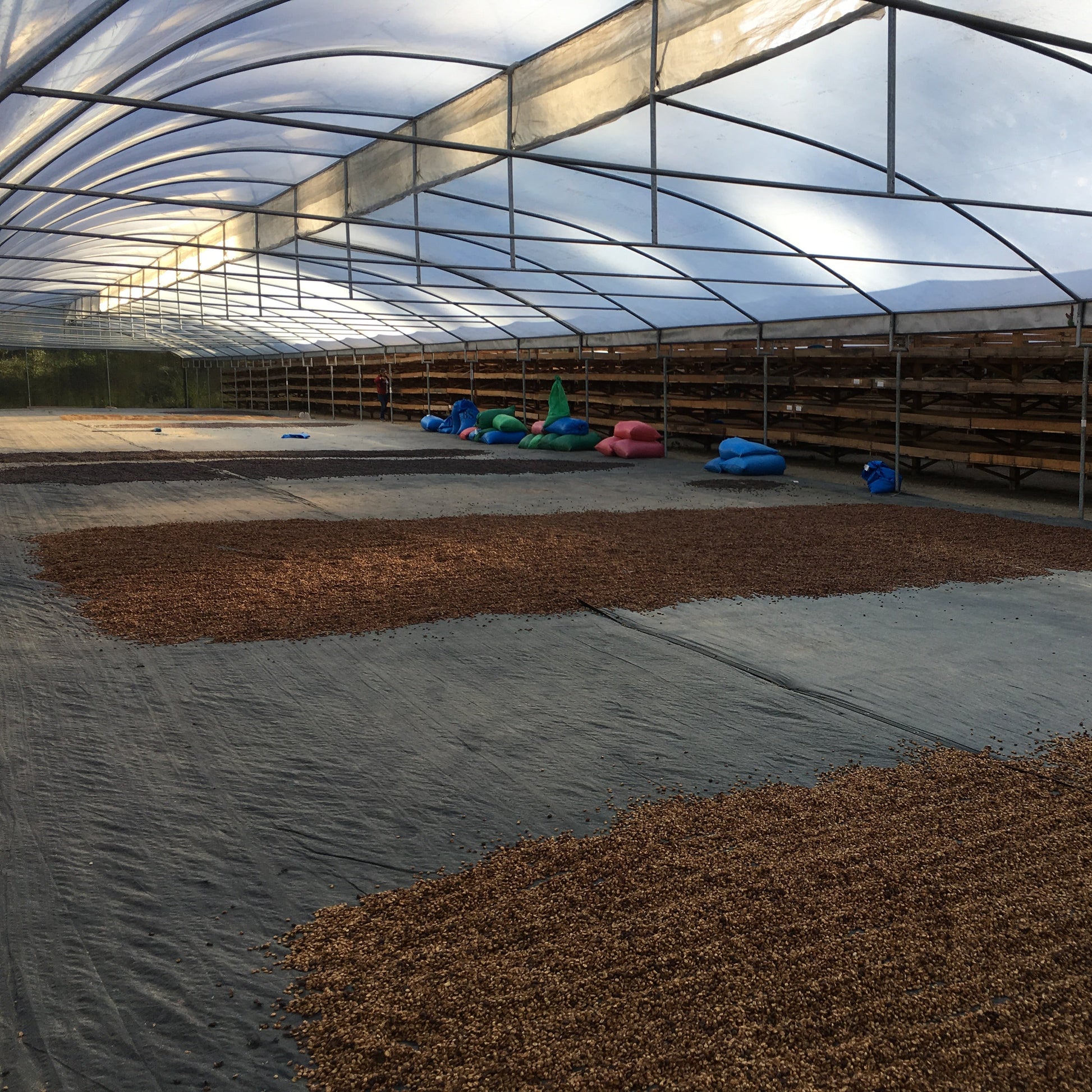 mikro seasonal blend - 3