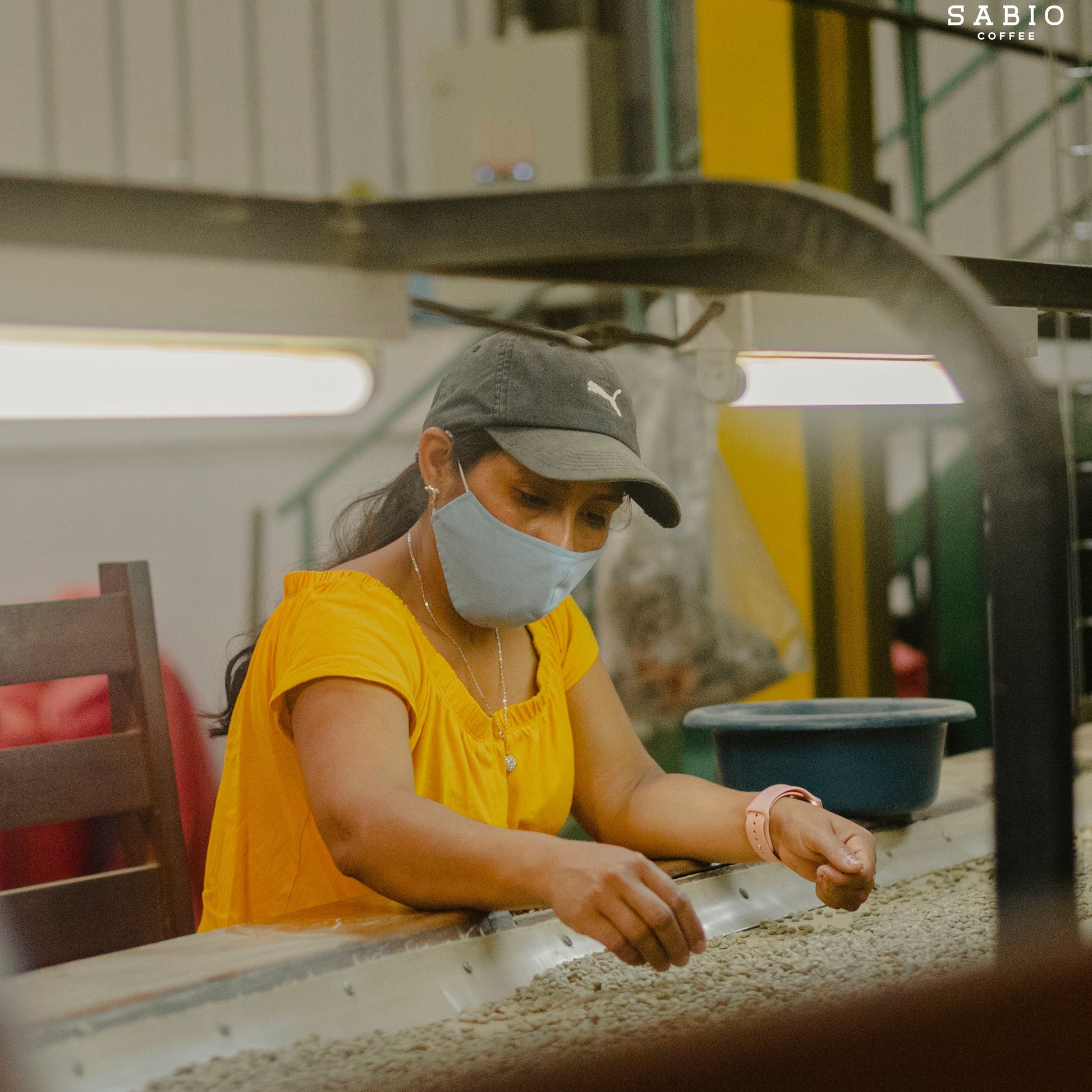 mikro seasonal blend - 4