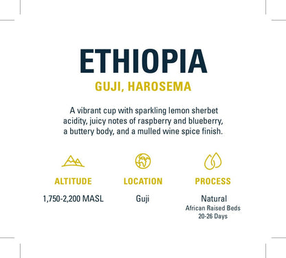 Ethiopian - Guji, Harosema | Mikro Coffee Roasters Torquay