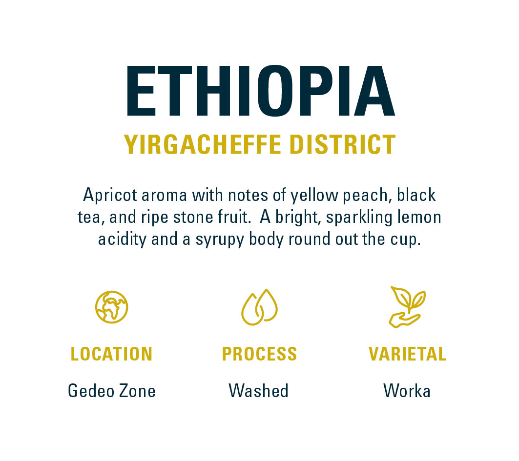 Ethiopian Washed - Yirgacheffe, Gedeo Zone | Mikro Coffee Roasters Torquay