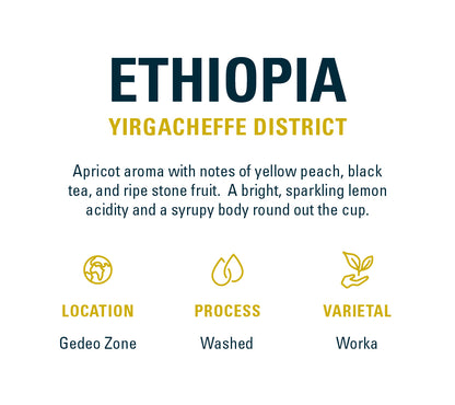 Ethiopian Washed - Yirgacheffe, Gedeo Zone | Mikro Coffee Roasters Torquay