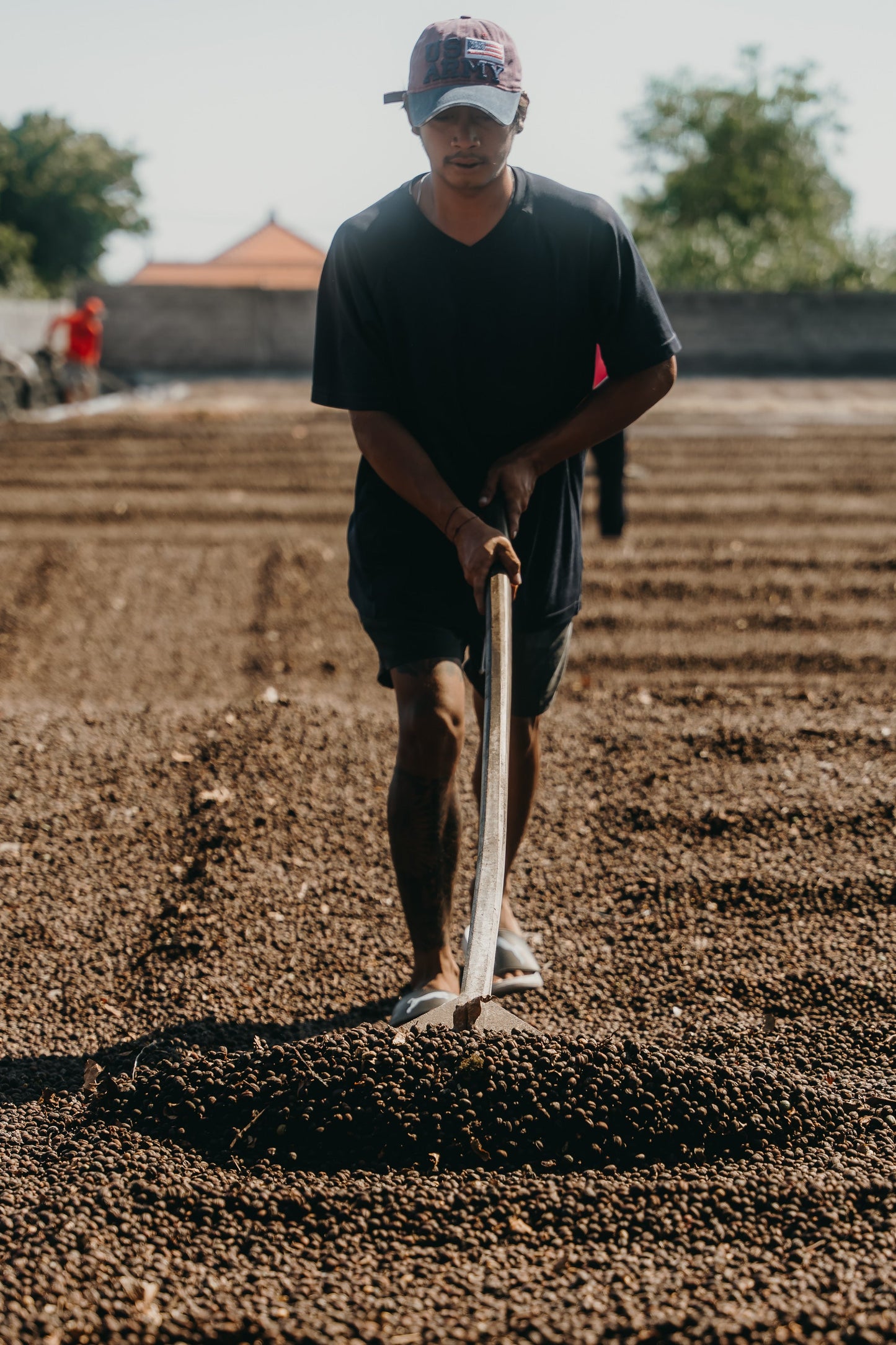 Indonesia - Bali Natural | Mikro Coffee Roasters Torquay