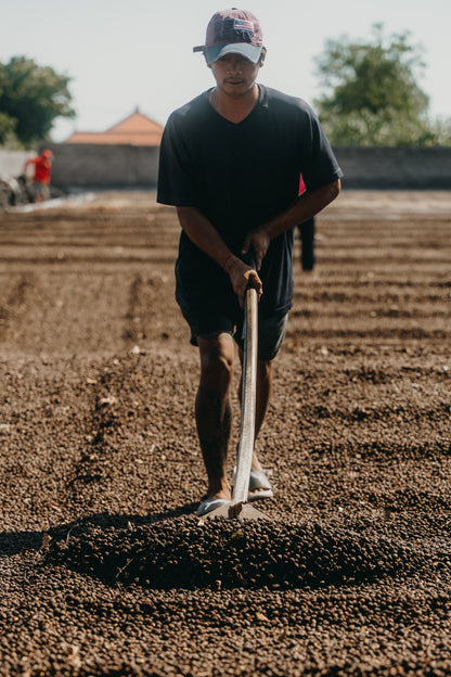 Indonesia - Bali Natural | Mikro Coffee Roasters Torquay