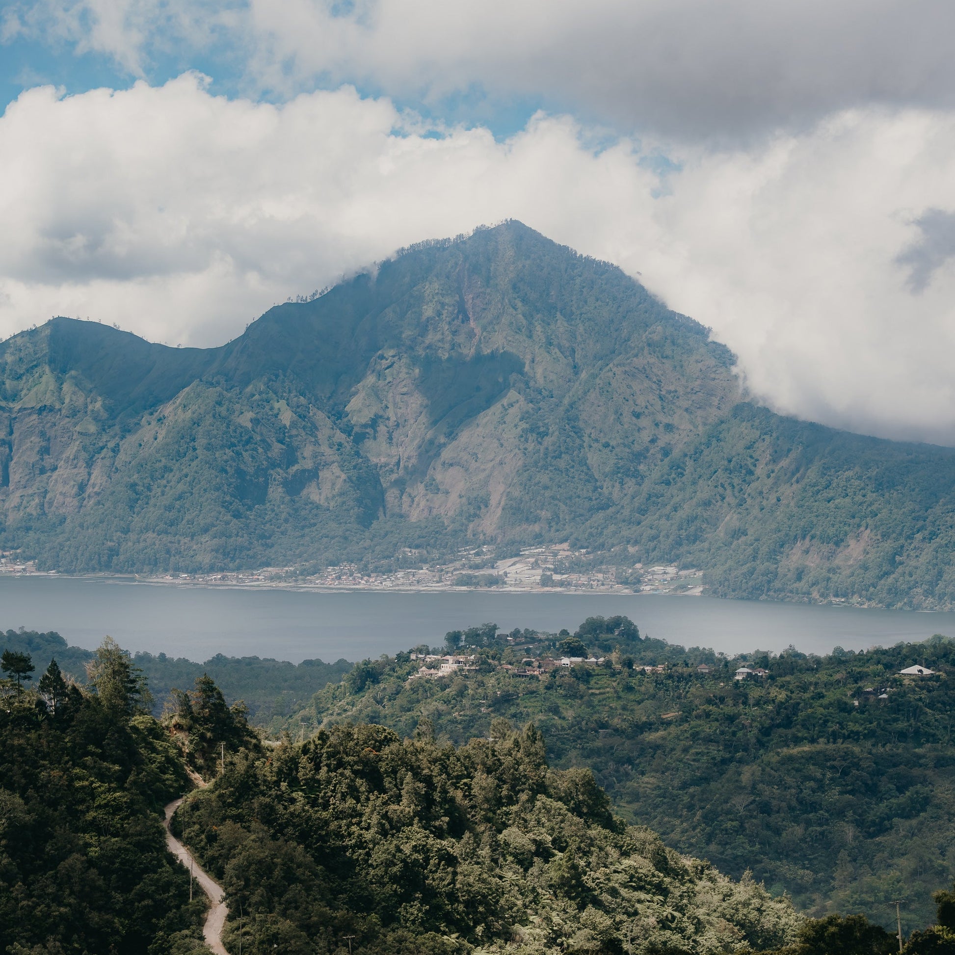 Indonesia - Bali Natural | Mikro Coffee Roasters Torquay