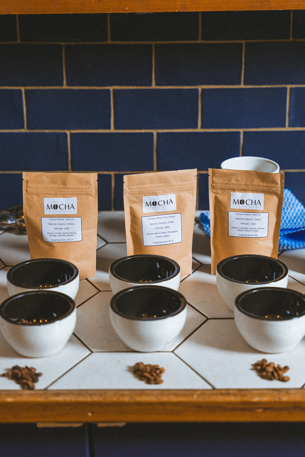 Cupping Session - Free