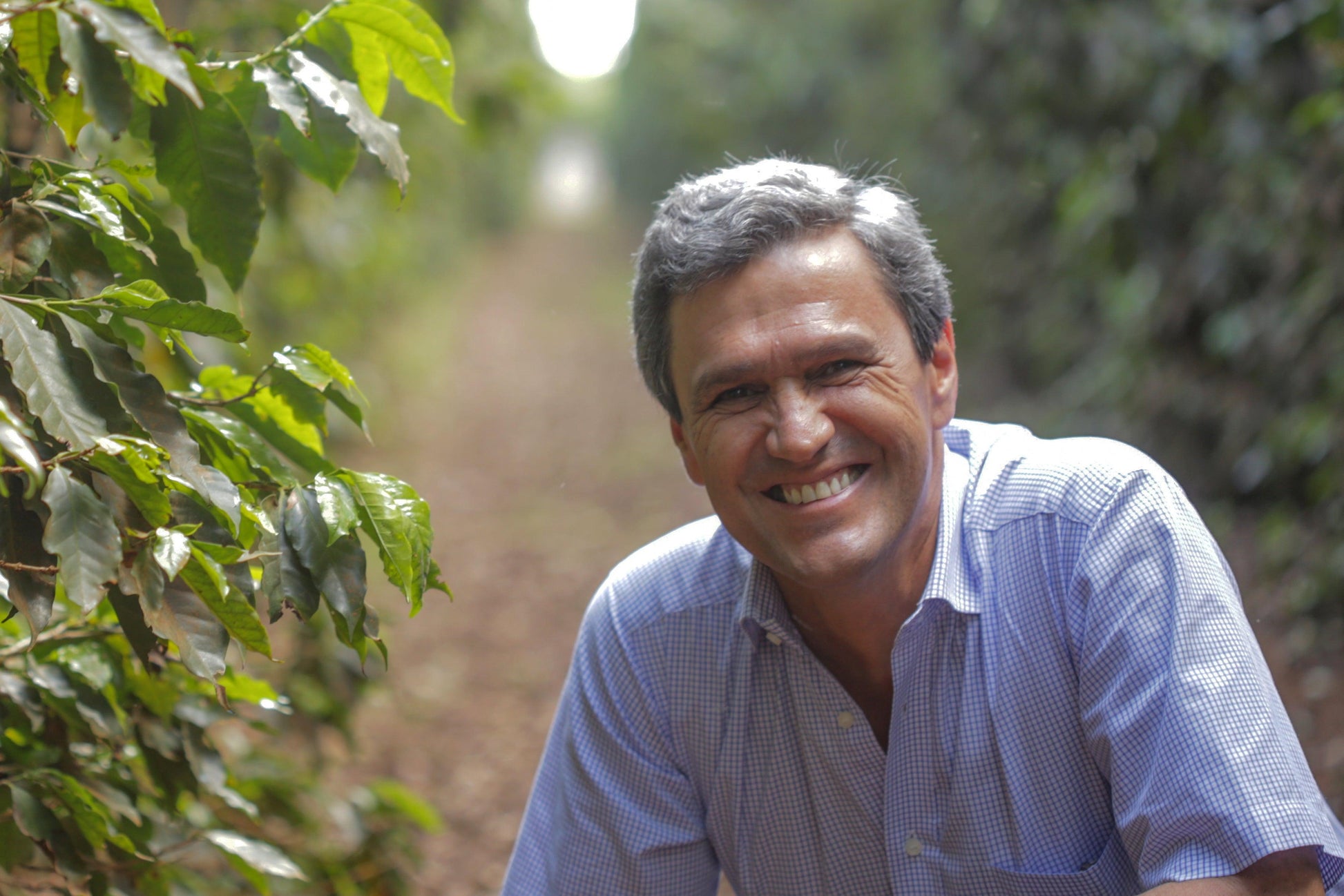 Brazil Sao Silvestre Estate - Ismael & Romulo Andrade Direct Trade Coffee - Mikro Coffee Roasters Torquay